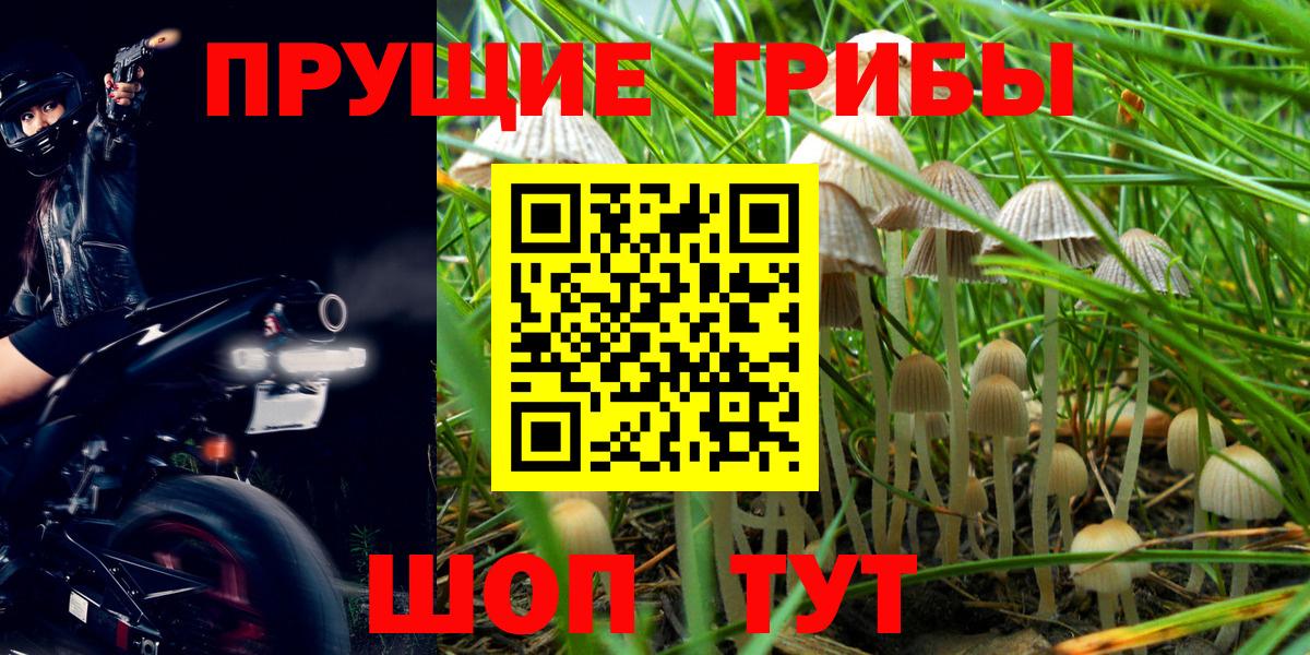 Борзя  Галлюциногенные грибы GOLDEN TEACHER  Галлюциногенные грибы Cubensis  Вход с VPN 